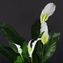SPATHIPHYLLUM artificiel PLAST  80 cm - fleurs détails