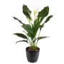 SPATHIPHYLLUM artificiel PLAST  80 cm - en pot