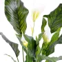 SPATHIPHYLLUM artificiel PLAST  80 cm - fleurs
