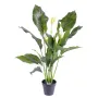 SPATHIPHYLLUM artificiel PLAST  80 cm