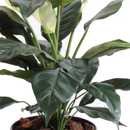 SPATHIPHYLLUM artificiel  5 fleurs 73 cm - feuilles