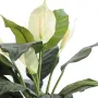 SPATHIPHYLLUM artificiel  5 fleurs 73 cm - fleurs