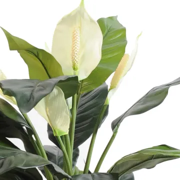 SPATHIPHYLLUM artificiel  5 fleurs 73 cm - fleurs