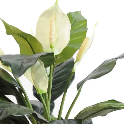 SPATHIPHYLLUM artificiel  5 fleurs 73 cm - fleurs