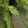 Suspension fougère 108 cm sur fausse bûche de bois - détail stipe