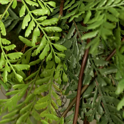 Suspension fougère 108 cm sur fausse bûche de bois - détail feuilles