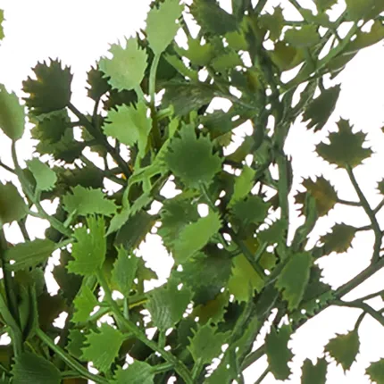 Suspension capillaire 22 cm - détails feuilles