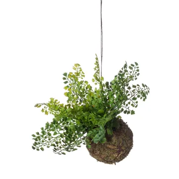 Suspension capillaire 22 cm