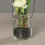 RENONCULE artificielle en pot verre à poser ou à suspendre 14 cm - pot