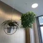 POTHOS mini artificiel 50 cm - dans un pot suspendu