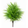SPRENGERI ASPARAGUS artificiel touffe 60 cm