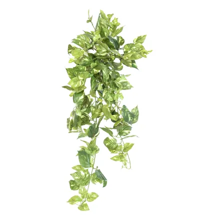 POTHOS chute artificiel panaché 80 cm