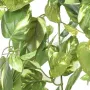 POTHOS chute artificiel panaché 80 cm - détails feuilles