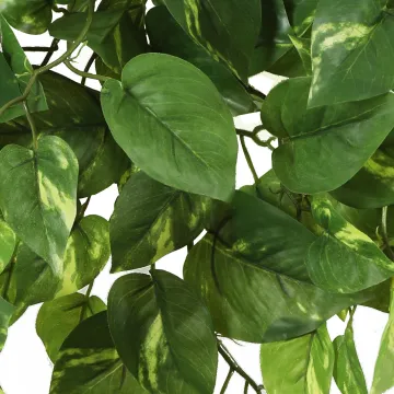 POTHOS chute artificiel 80 cm - détails feuilles