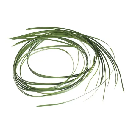 sachet 12 Herbes grass 120 cm