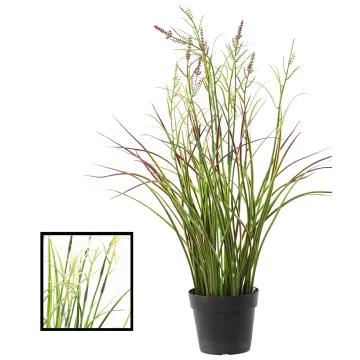 ACORE GRAMINEE artificielle ou Acorus fleuri 45 cm - 2 couleurs