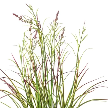 ACORE GRAMINEE artificielle vert violet ou Acorus fleuri 45 cm - feuillage