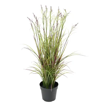 ACORE GRAMINEE artificielle ou Acorus fleuri 70 cm vert/violet