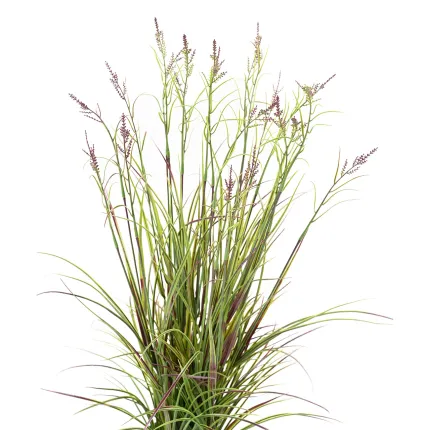 ACORE GRAMINEE artificielle ou Acorus fleuri 70 cm vert/violet - feuillage