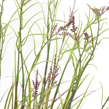 ACORE GRAMINEE artificielle ou Acorus fleuri 70 cm vert/violet - pointe