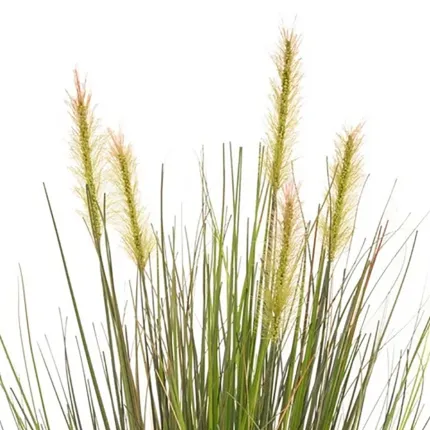GRAMINEE artificielle 45 cm en pot - pointes