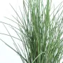 feuilles GRAMINEE honey artificielle Hteur 80 et 114 cm