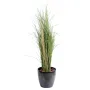 GRAMINEE honey artificielle Hteur 114 cm en pot