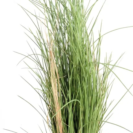 GRAMINEE honey artificielle Hteur 114 cm détail