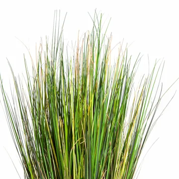 HERBE artificielle FOXTAIL 52 cm sans plumeau - pointe