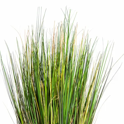 HERBE artificielle FOXTAIL 52 cm sans plumeau - pointe
