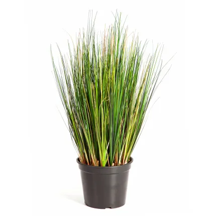 HERBE artificielle FOXTAIL 52 cm sans plumeau