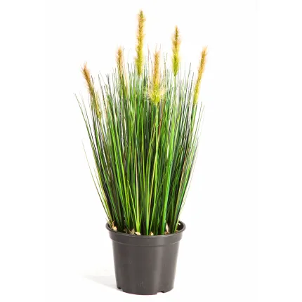 HERBE artificielle FOXTAIL 60  cm