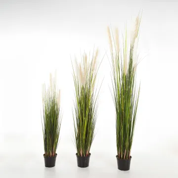 GRANDES HERBES artificielles plumeau blanc  120 à 180 cm