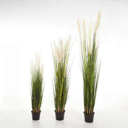 GRANDES HERBES artificielles plumeau blanc  120 à 180 cm