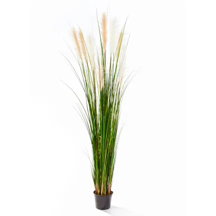 GRANDES HERBES artificielles plumeau blanc 180 cm
