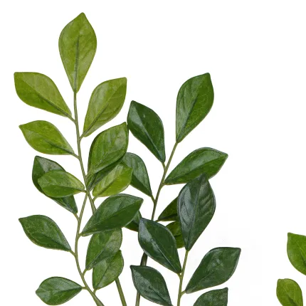 Feuilles ignifugées de Murraya détail