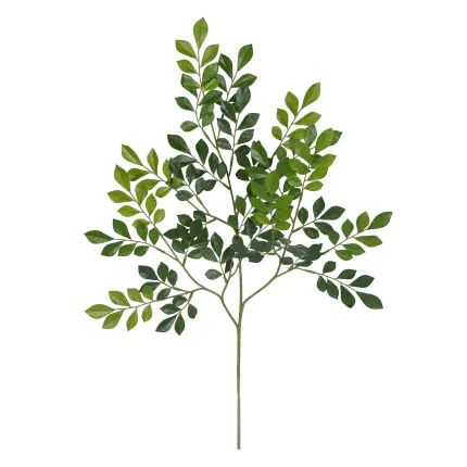 branche MURRAYA artificiel 70 cm - en tige