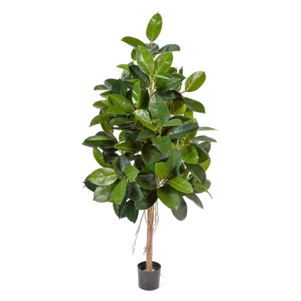 FICUS artificiel ELASTICA vert 180 et 210 cm - détails feuilles
