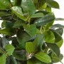 FICUS artificiel ELASTICA 180 cm et 210 cm