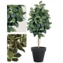 FICUS artificiel ELASTICA 180 et 210 cm - 2 couleurs