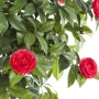 CAMELIA artificiel UMBRELLA TREE 130 et 160 cm rose fushia - détails fleurs