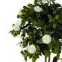 CAMELIA artificiel UMBRELLA TREE 130 et 160 cm crème - feuillage