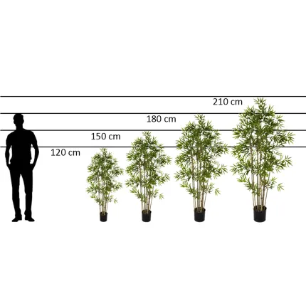 taille par rapport à une personne hauteur