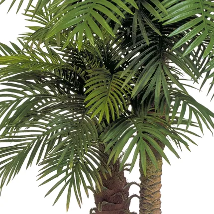 PHOENIX artificiel DOUBLE TRONCS 210 cm - palmes
