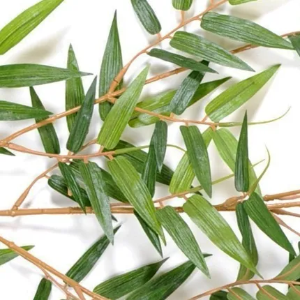 feuilles BAMBOU artificiel ORIENTAL NEW 90 à 280 cm