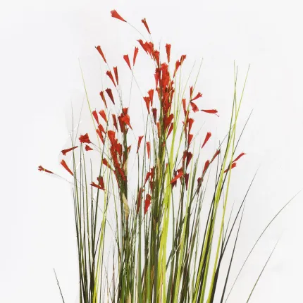 graminée CORAIL artificielle 120 cm - fleurs