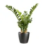 ZAMIA artificiel ou Zamioculcas 90 cm en pot