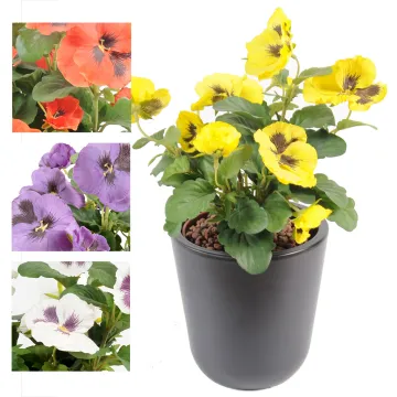 PENSEE artificielle 27 cm - 4 couleurs