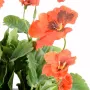 PENSEE artificielle orange 27 cm - détails