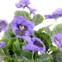PENSEE artificielle violet 27 cm - fleurs détails